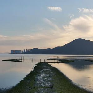 快乐风男羽锡Twitter
